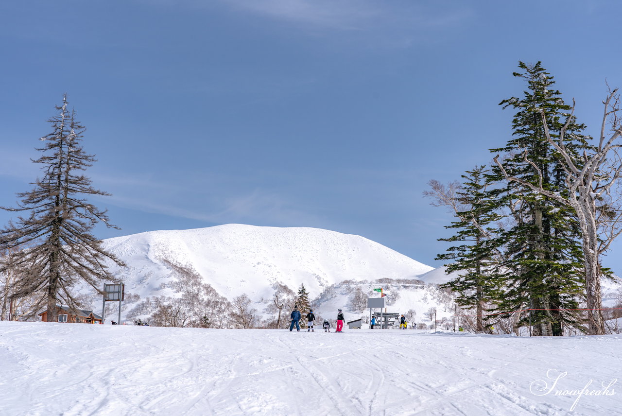 キロロリゾート　本当に明日でシーズン終わり？！まだまだ積雪豊富なキロロでGW春スキーを満喫(*^^*)